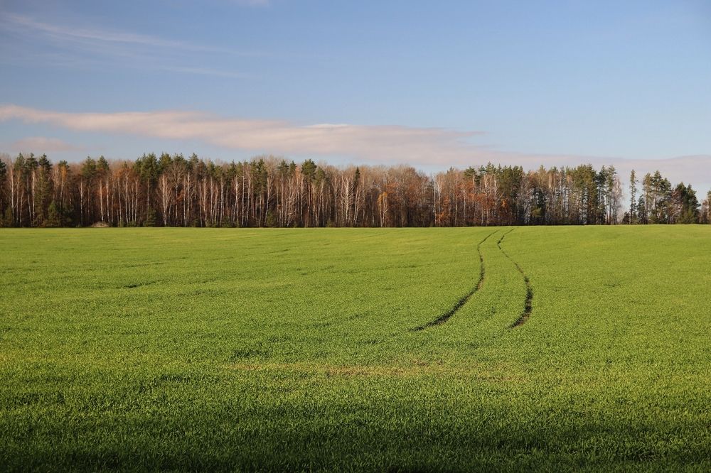 Фотография автора Наталья Боярина