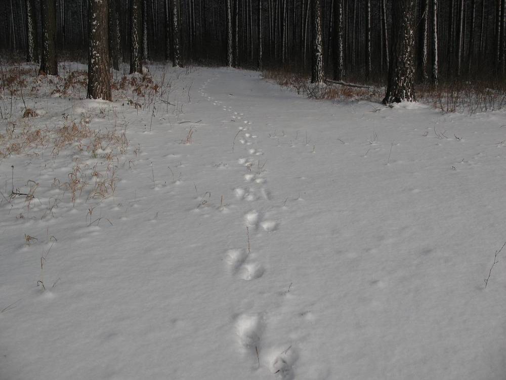 Photograph by Владимир