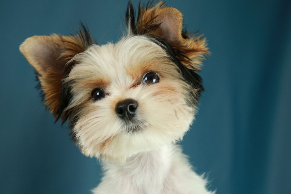 Photograph by Марина Юрченко