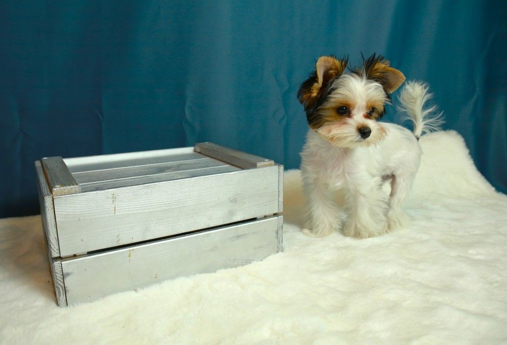 Photograph by Марина Юрченко