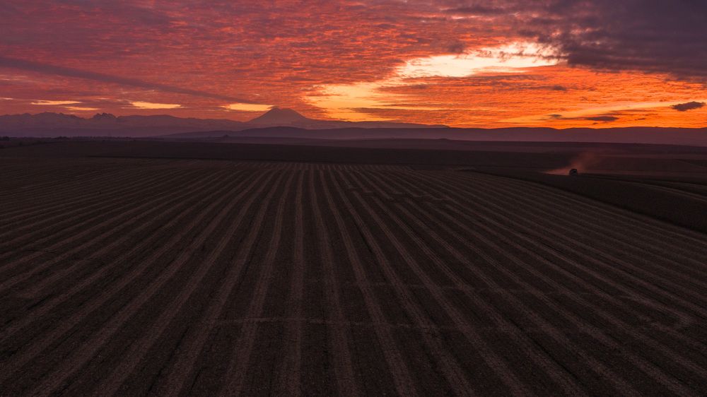 Photograph by Farid Isakov