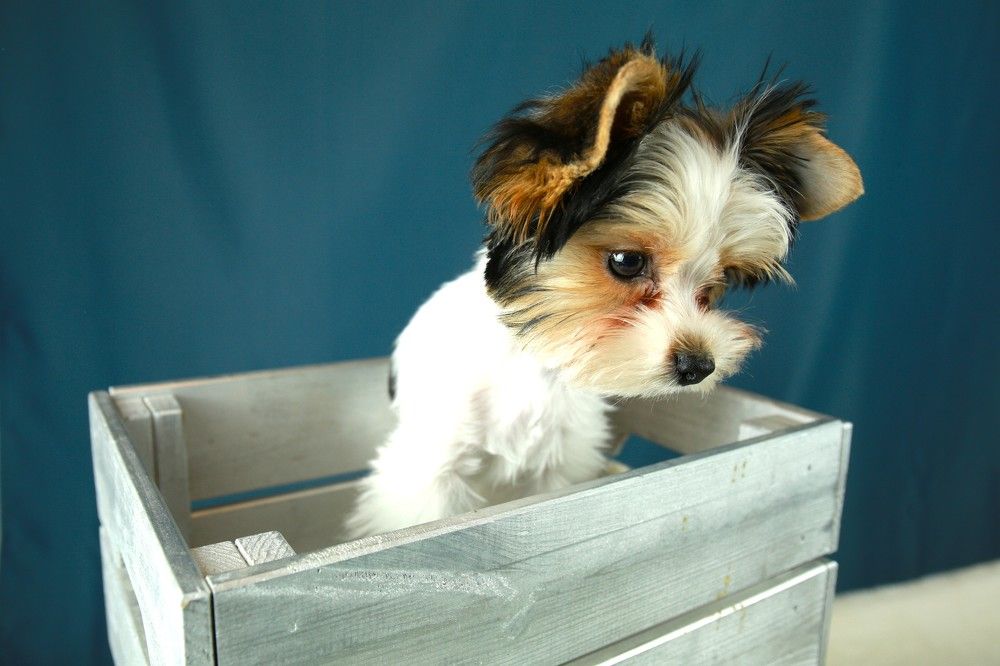 Photograph by Марина Юрченко