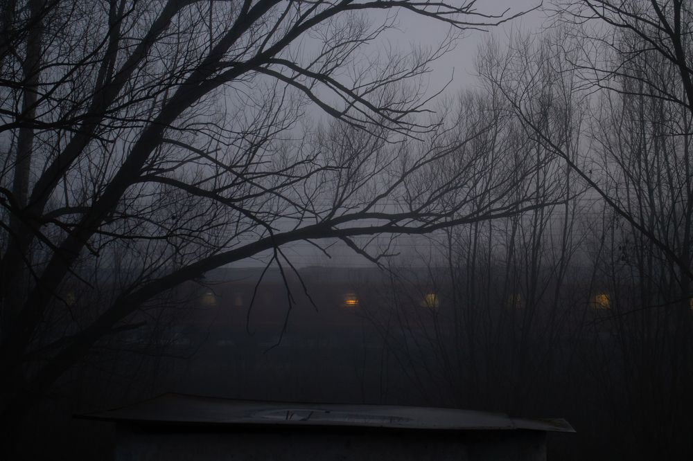 Photograph by Мария Крюкова