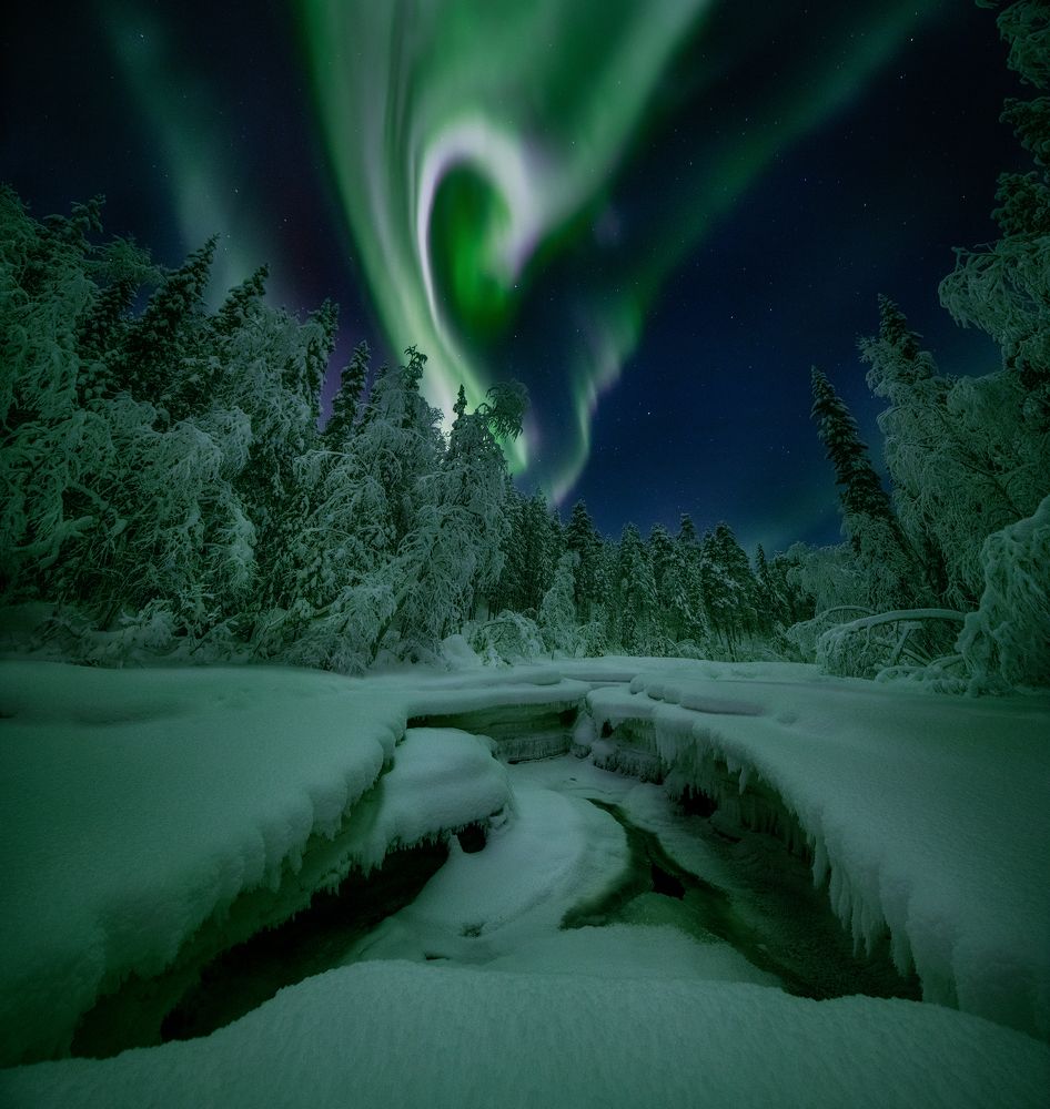 Photograph by Елена Ермолина