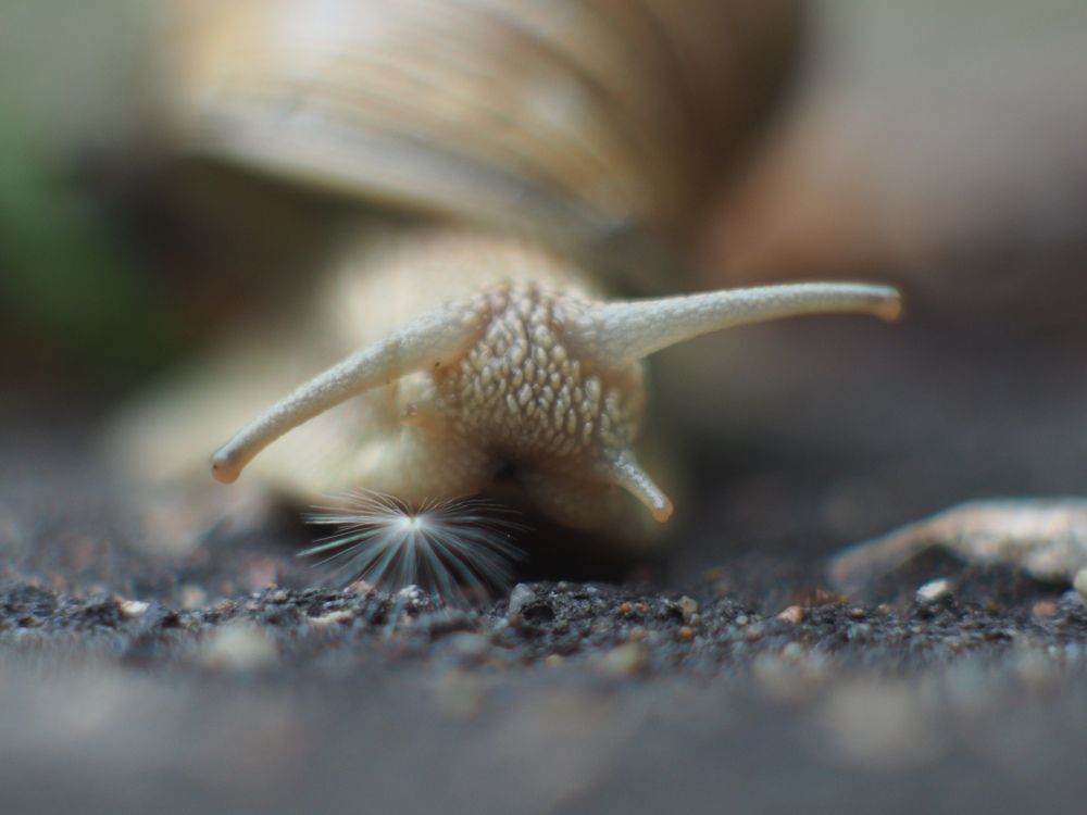 Photograph by Андрей Михайлин