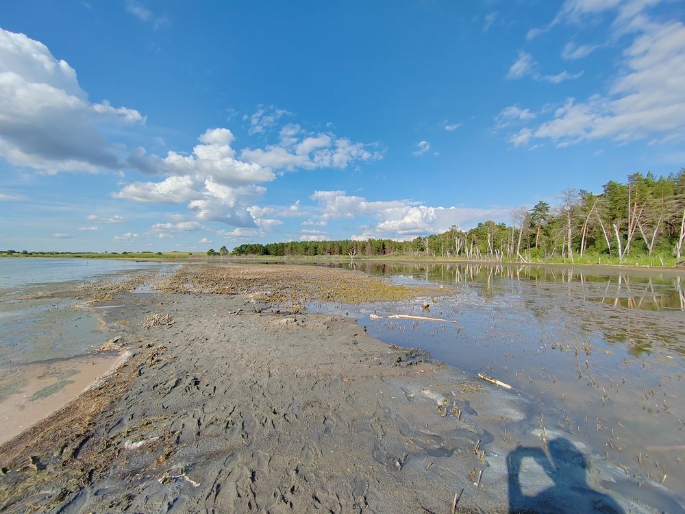 Photograph by Наталья Веряскина