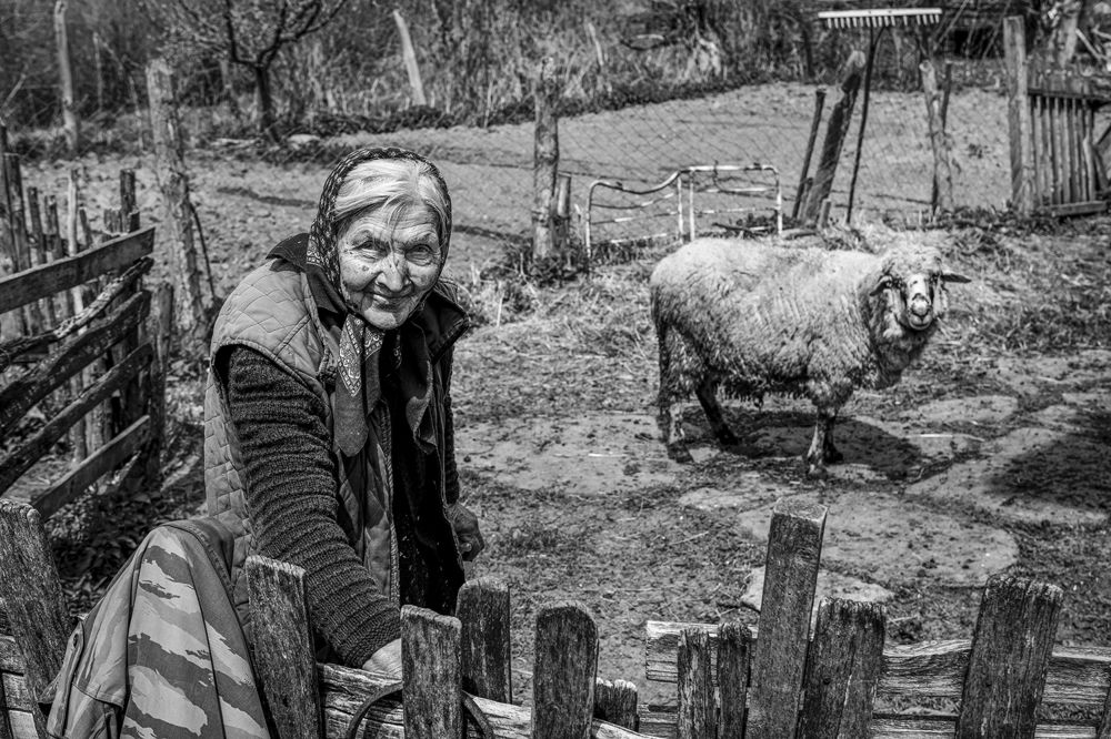 Photograph by Dragan Lapcevic