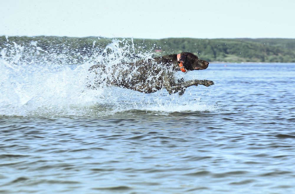 Photograph by Алексей Широбоков