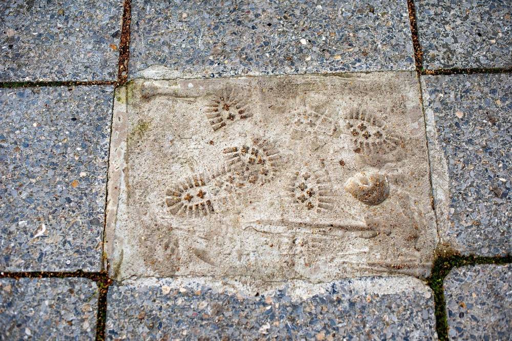 Photograph by Дария Ризниченко