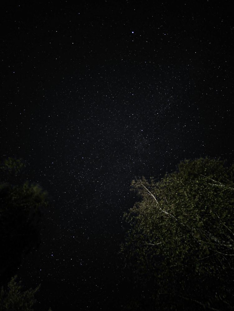 Фотография автора Алиса Исаева