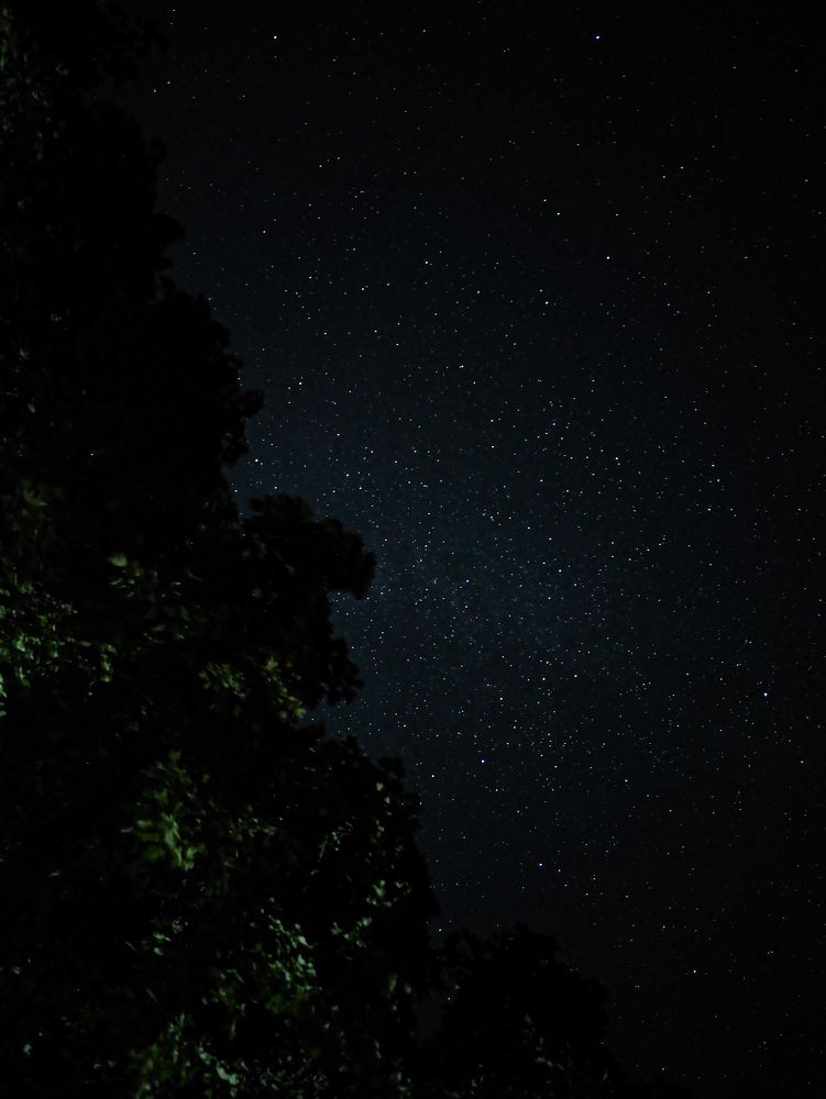 Фотография автора Алиса Исаева