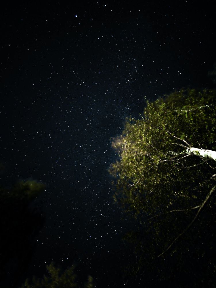 Фотография автора Алиса Исаева