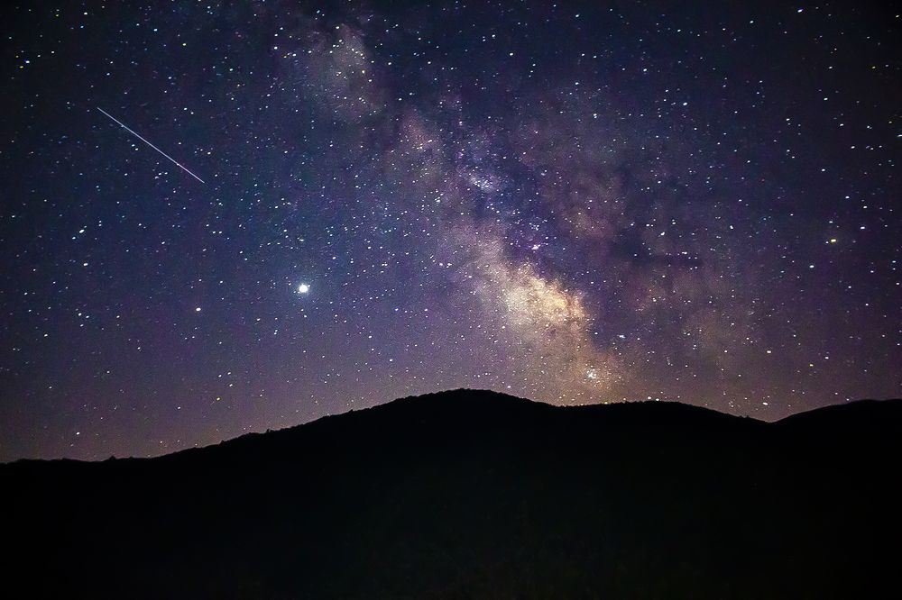 Photograph by Reza Zanganeh