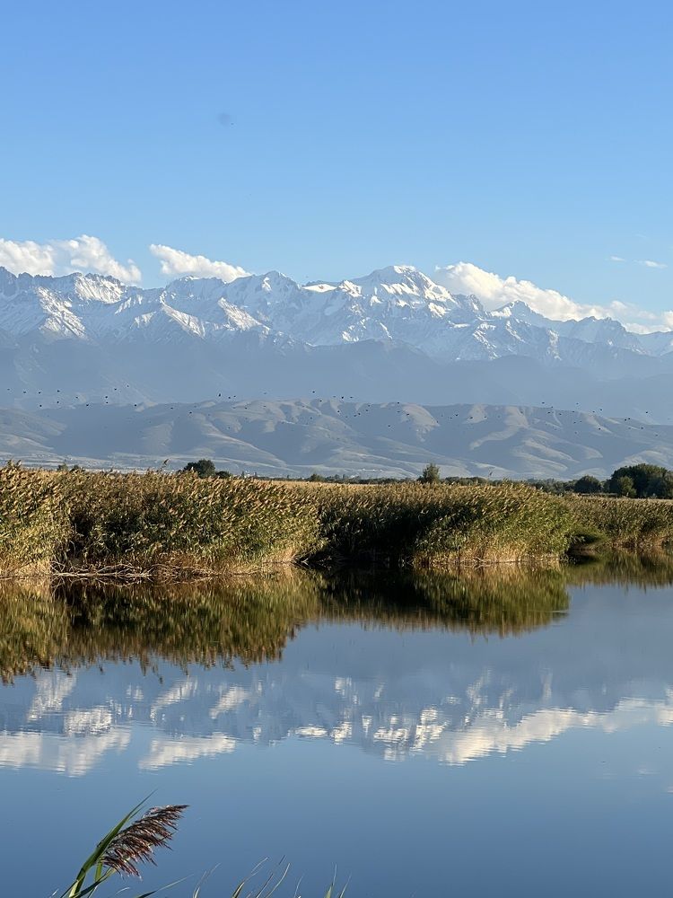 Photograph by Тыченок