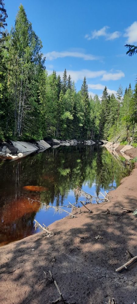Photograph by natalya