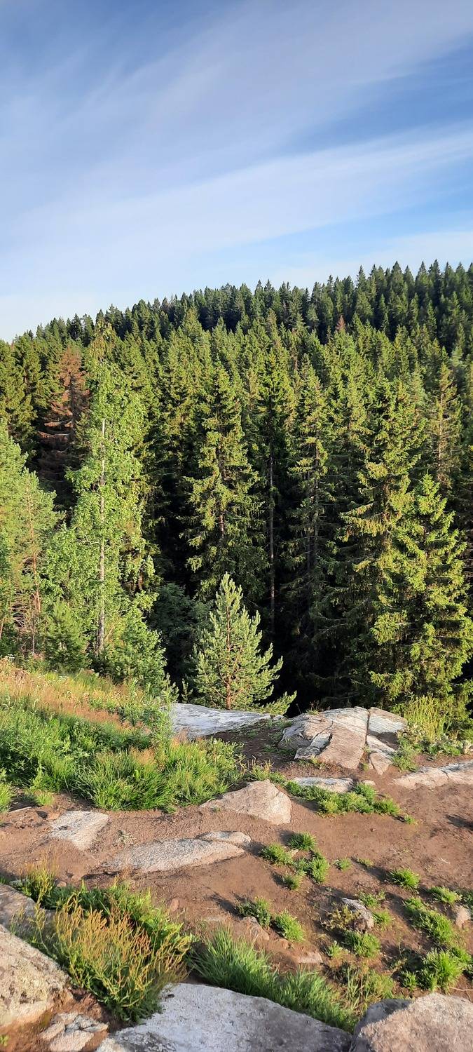 Photo #11261202