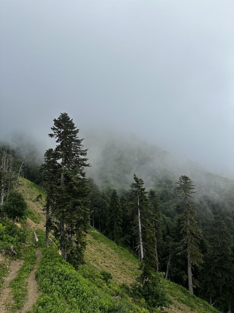 Photograph by Мария Петрова