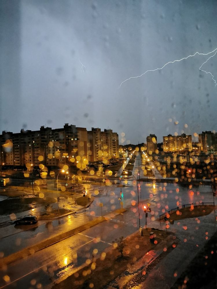 Фотография автора Ольга Панасюк