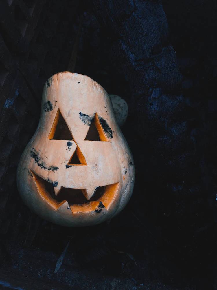 Photograph by Станислава Садыкова