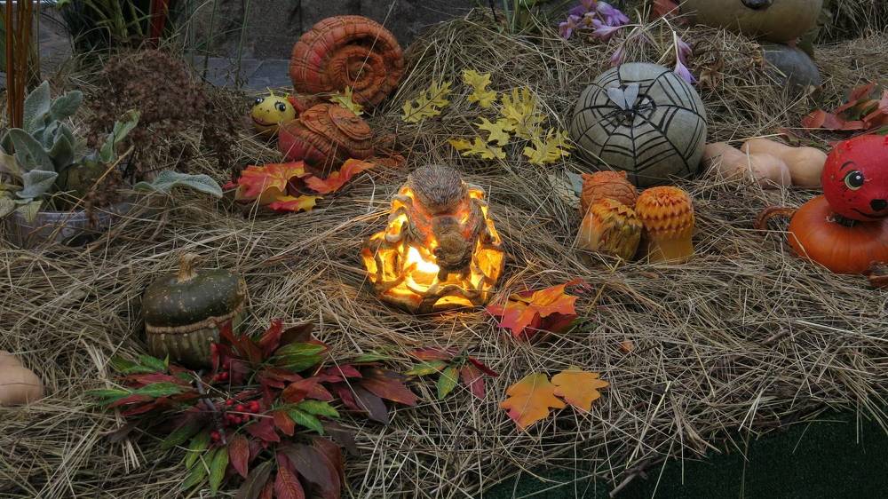 Photograph by Елена Казарина