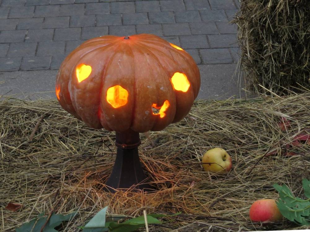 Photograph by Елена Казарина