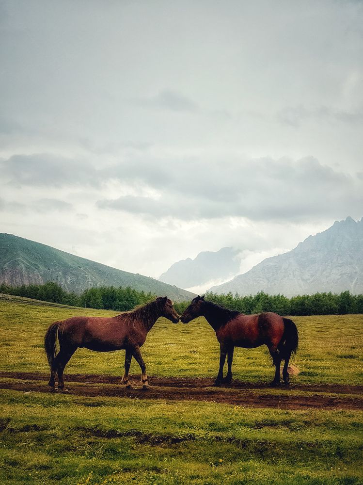 Фотография автора Вера