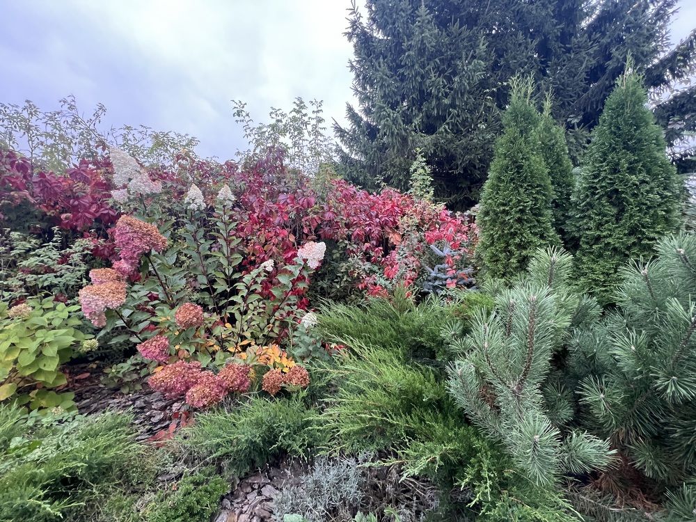 Photograph by Kira Ko