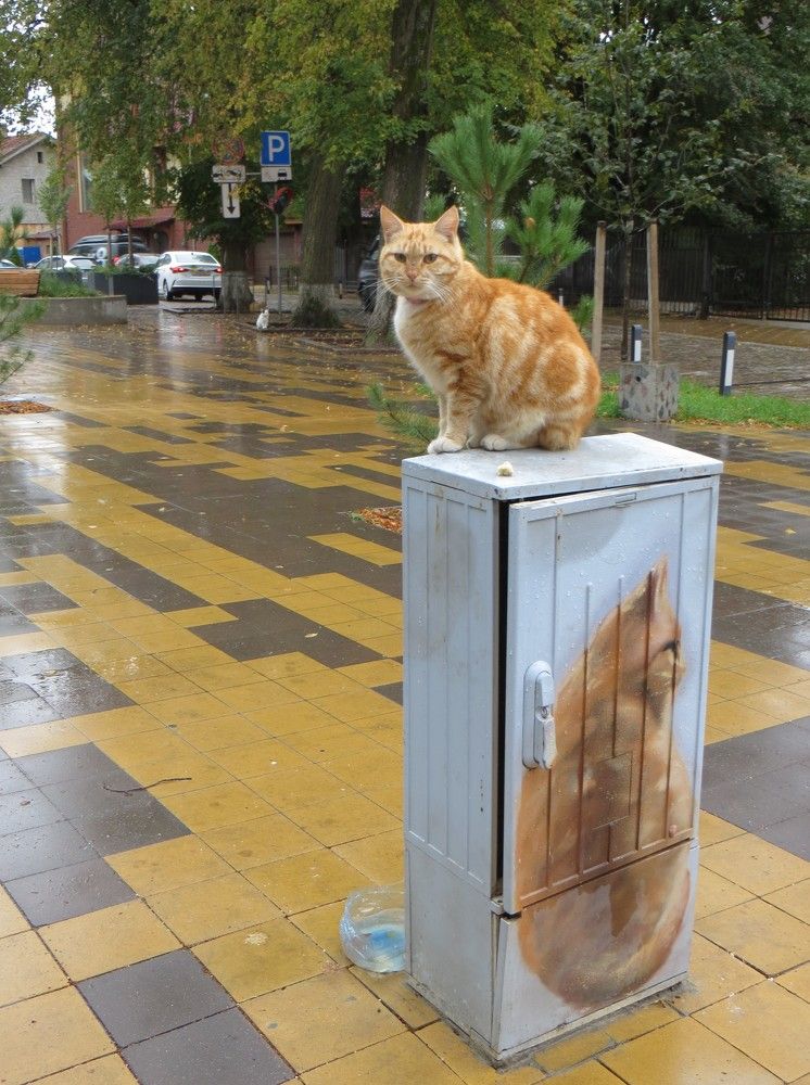 Photograph by Татьяна Поминова