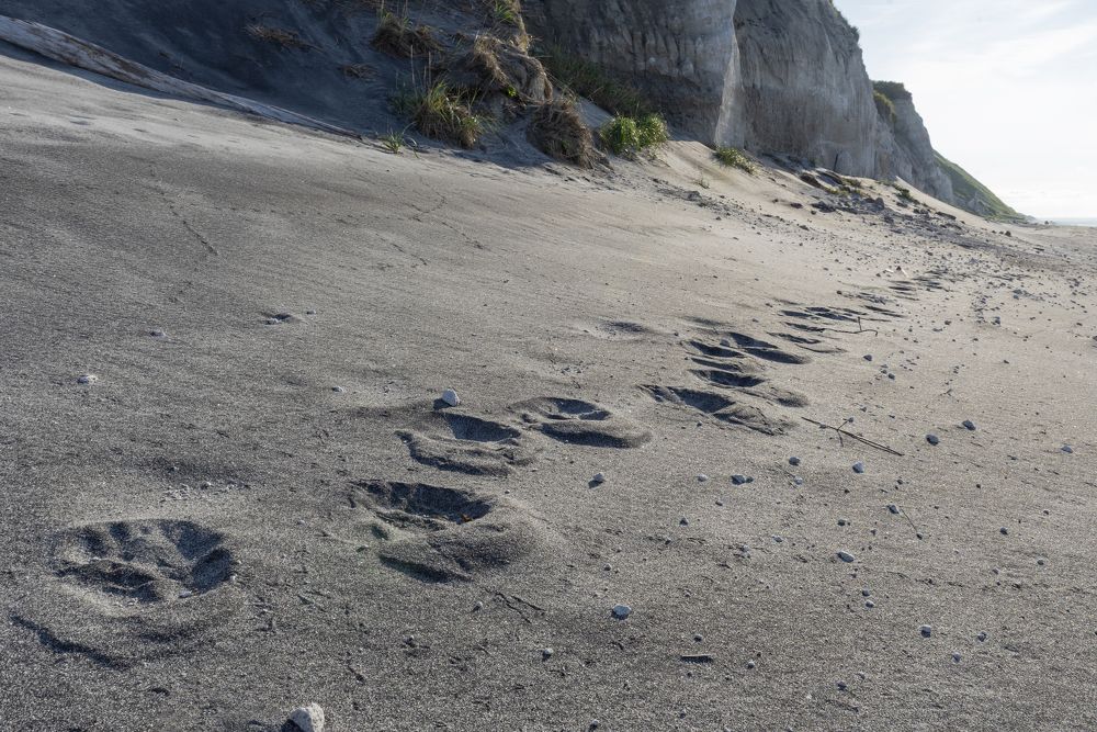 Photograph by Алексей Новиков