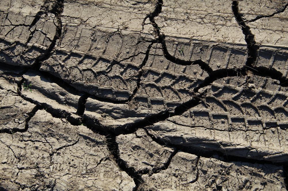 Photograph by Хайбуллина Флора