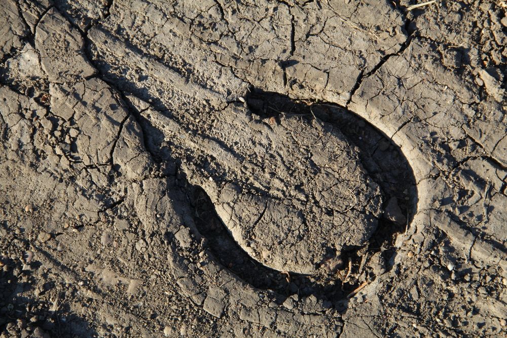 Улыбка удачи