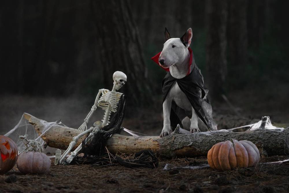 Photograph by Андрианова Ирина