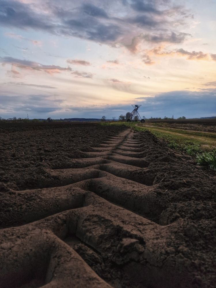 Photograph by Владислав Данилов
