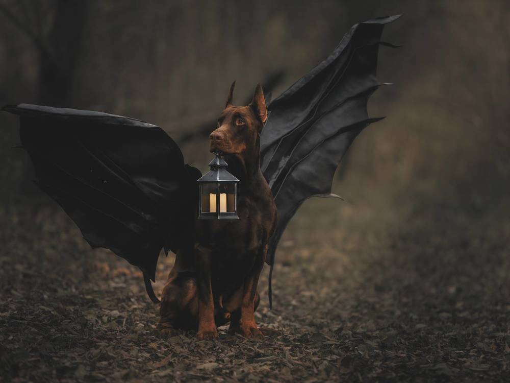 Photograph by Мария Клещенко