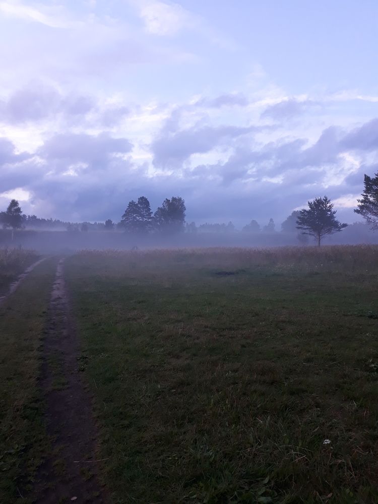 Photograph by Ирина Макарова