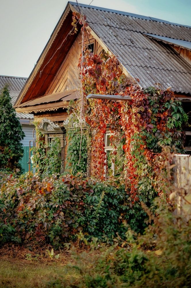 город Кострома