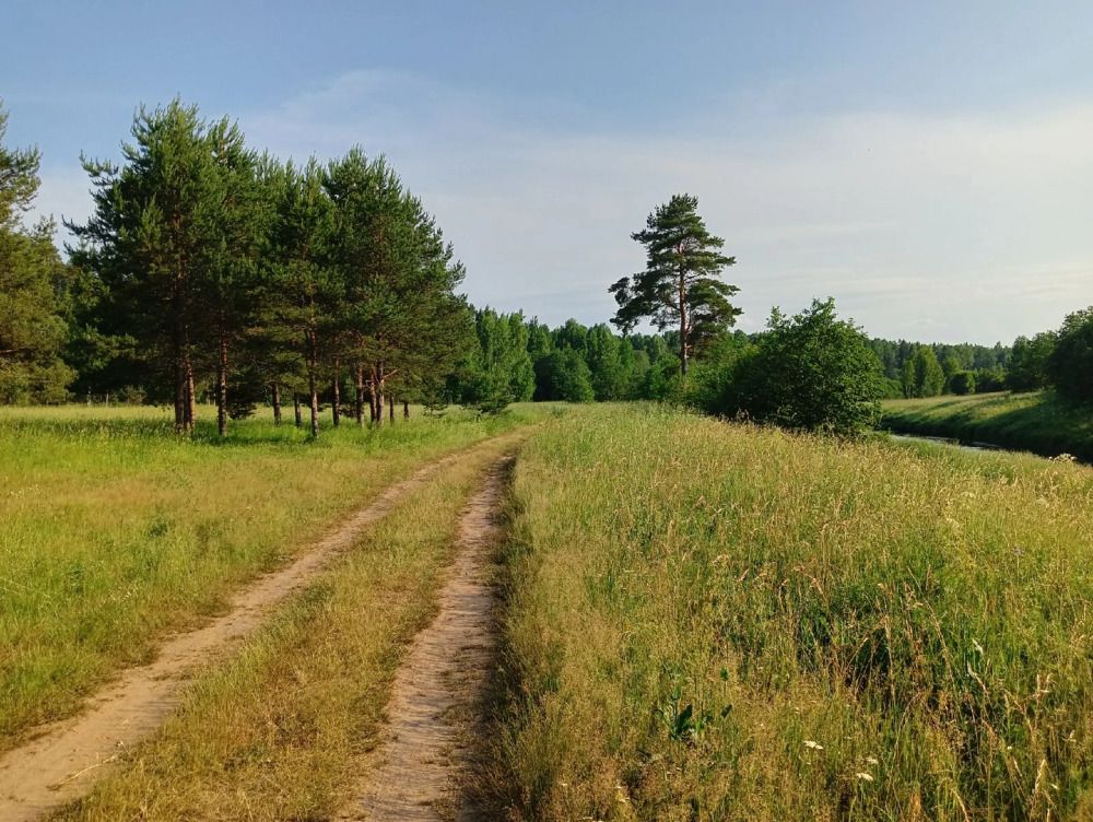 Photograph by Ирина Макарова