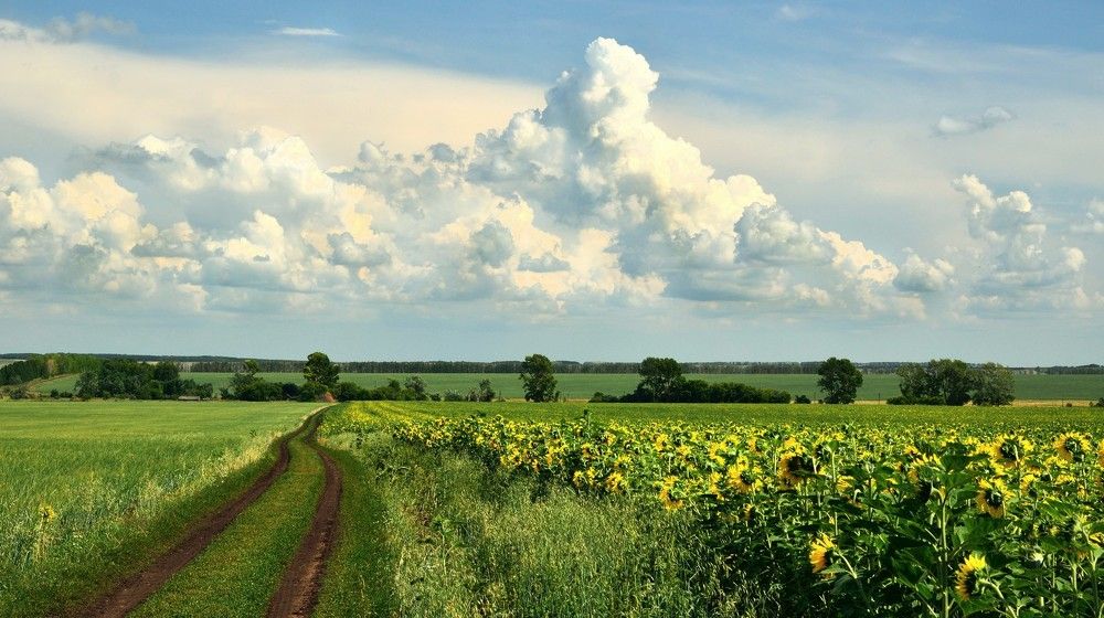 Photograph by Илфир Исламгазин