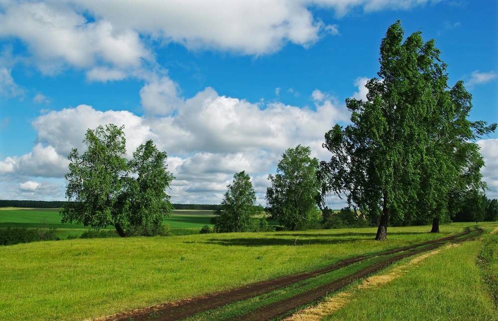 Photograph by Илфир Исламгазин