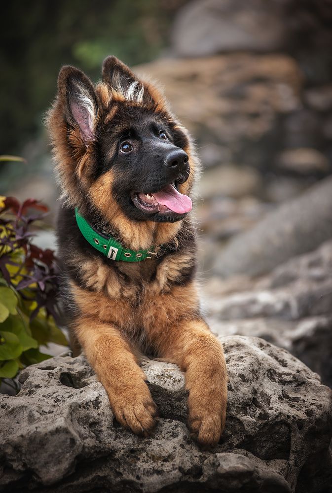 Photograph by Григорьева Юлия