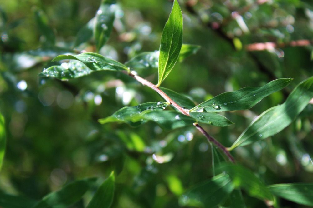 Photograph by Ирина Макарова