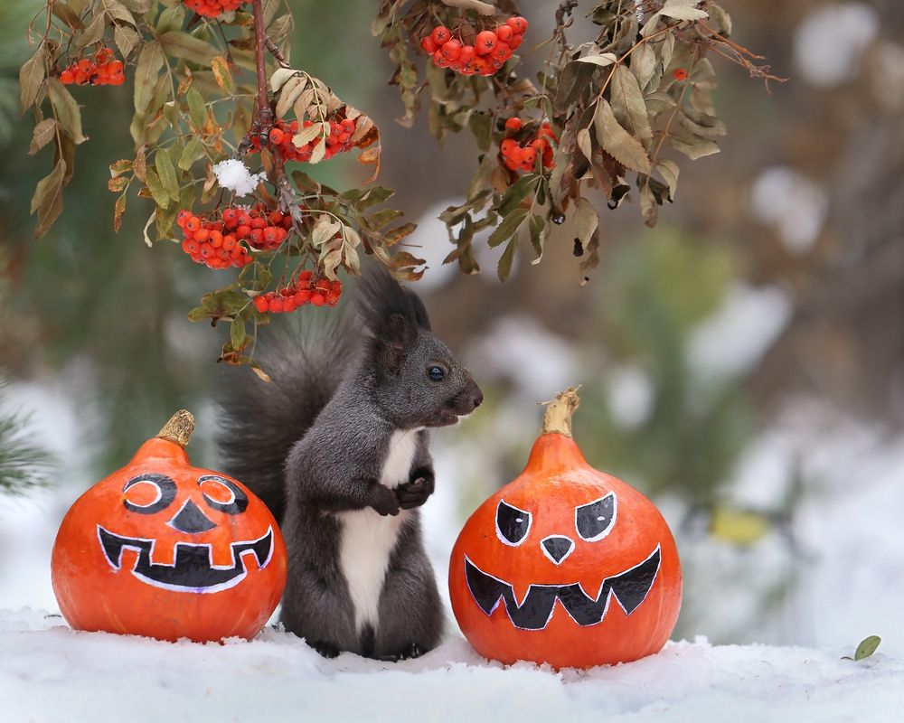 Photograph by Евгения Левина