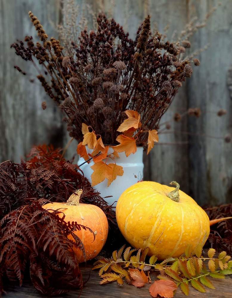 Photograph by Назмутдинова Сауия