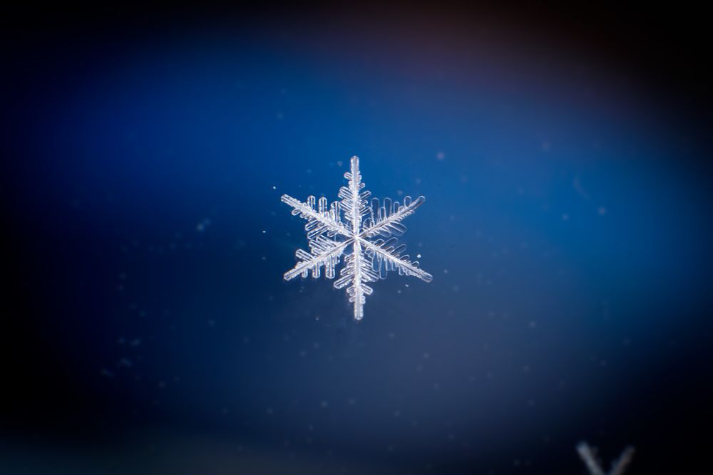 Photograph by Иванюшкин Никита