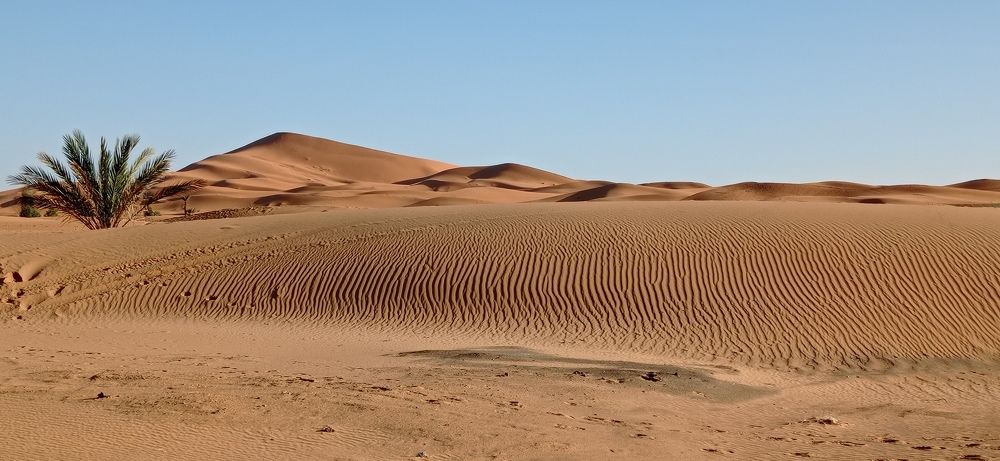 Пески Сахары