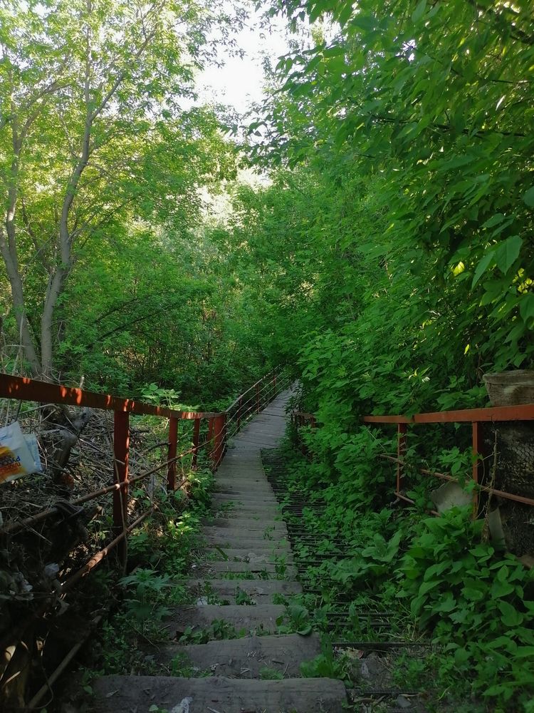 Photograph by Полина Мумряева