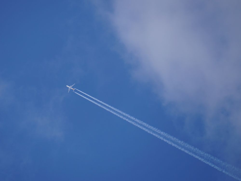 Photograph by Дмитрий Лобанов