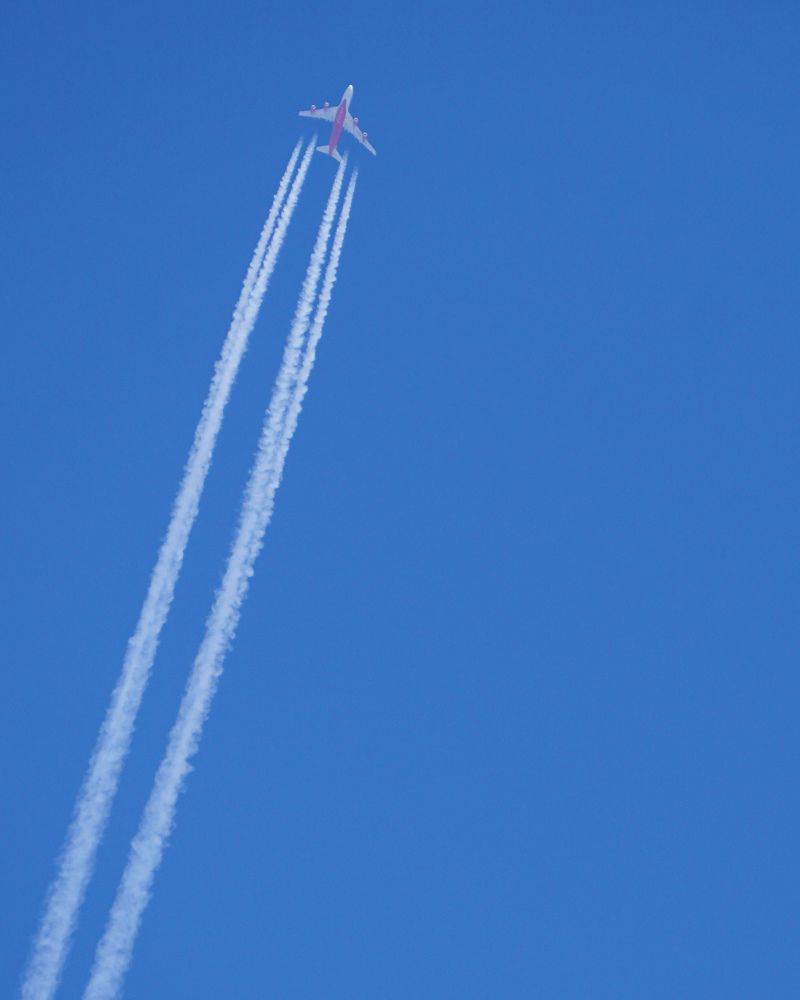 Photograph by Дмитрий Лобанов