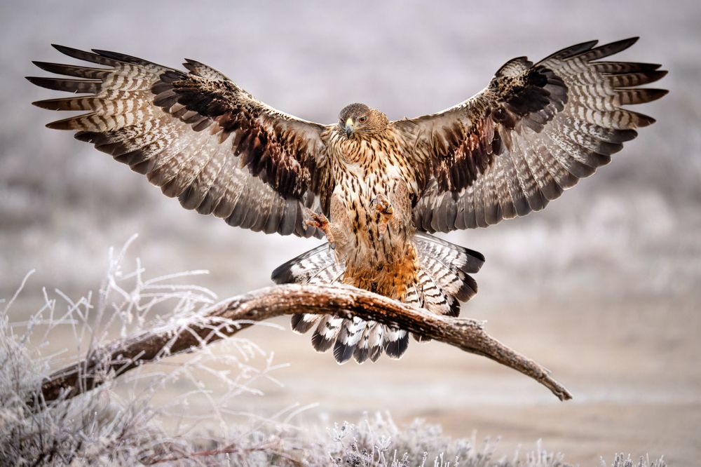 Photograph by Ruzhdi Ibrahimi