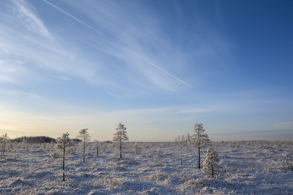 Photograph by Олег Малетин